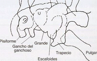 Carpal tunnel view 3